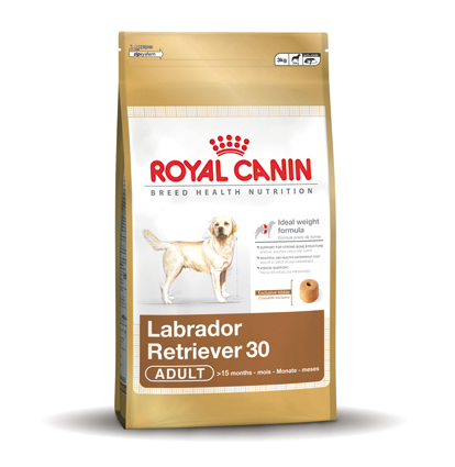 [RC207873] Labrador Retriever 30 Adult (3 kg.)