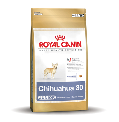 [RC278200] Chihuahua 30 Junior (500 gr.)