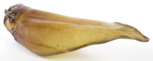 [IMD45389] it's My Dog Runderoren met Pit 50 x 1 st.